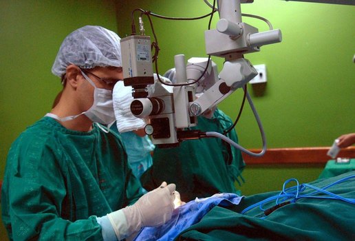 Paciente recebe rins de porco em transplante