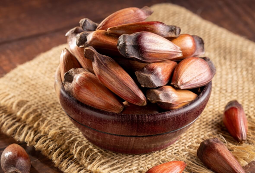 O pinhão é um alimento versátil e oferece inúmeros benefícios para a saúde (Imagem: 
WS-Studio | Shutterstock)