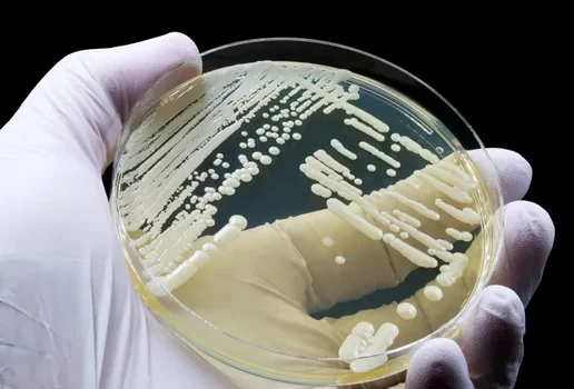 Ameba comedora de cerebros