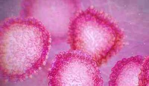 Nn mal coronavirus spreads to US 200121 1920x1080 focal 760x428