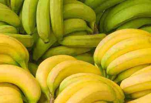Bananas verdes emagrecem ate seis quilos e secam a barriga