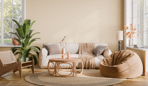 As plantas podem ser usadas para compor a decoração da casa (Imagem: Laci_10 | Shutterstock)