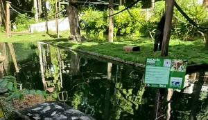 Whats App Image 2025 06 17 at 18 28 59