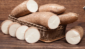 A mandioca é fonte de nutrientes importantes para a saúde (Imagem: gcafotografia | Shutterstock)