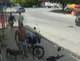 Ataque pitbull