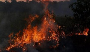 Incendio amazonas