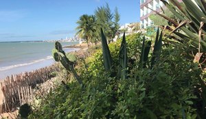 Praia do Bessa, em João Pessoa