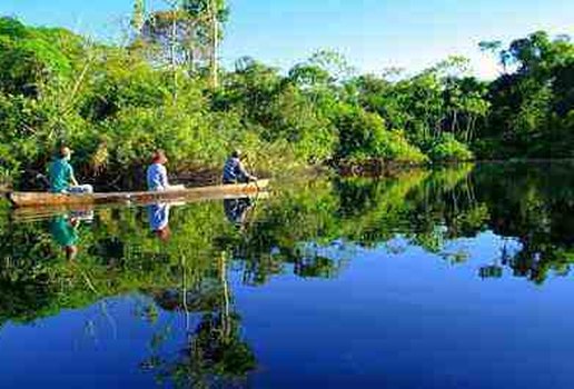 Amazonia peru
