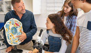 A biologia celular se baseia no conhecimento das diversas estruturas celulares existentes (Imagem: Ground Picture | Shutterstock)