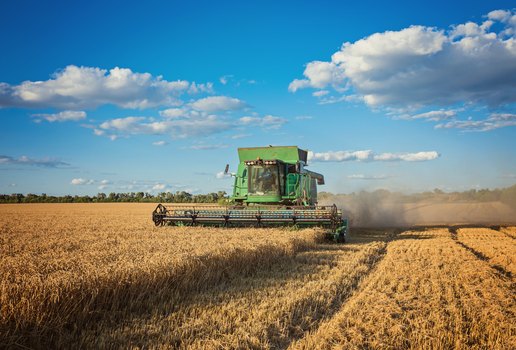 Colheita da colheitadeira no campo