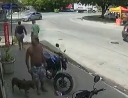 Ataque pitbull