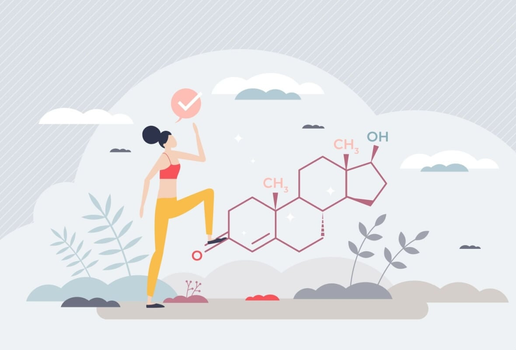A testosterona é fundamental para a saúde da mulher (Imagem: VectorMine | Shutterstock)