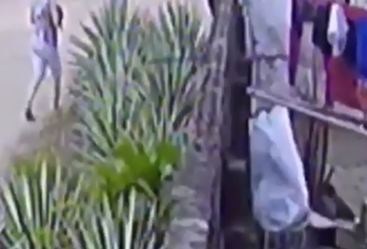 Mulher arremessa gato em quintal pitbull