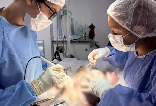 Secupa cancer de mama animal 3 880x1024