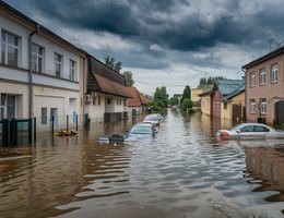 Inundacao na polonia II ideogram