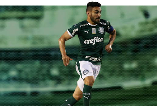 Bruno Henrique Palmeiras