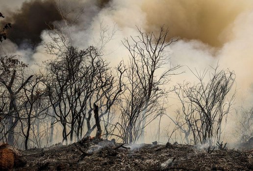 Incendio florestal bsb2 mcamgo abr 24082024 2 8