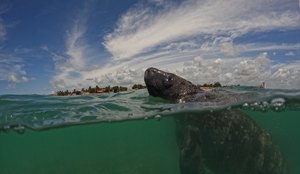 754b9558 858c 4820 b680 2fc707185ffb