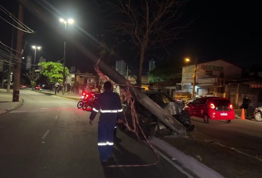 Carro subiu no canteiro central da avenida