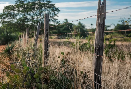 Cerca de arame farpado na caatinga paraibana gerado com ideogram