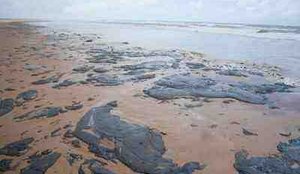Manchas de oleo espalhadas por praia do Sergipe