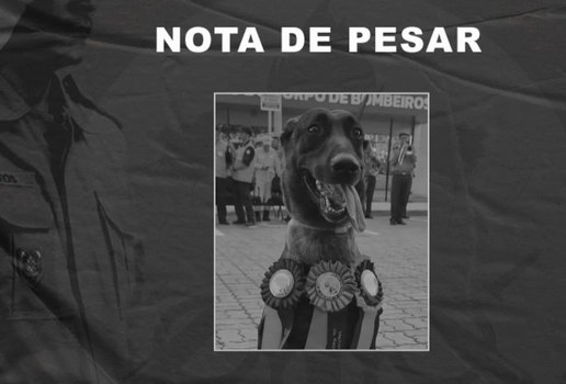 Morte thayla bombeiros