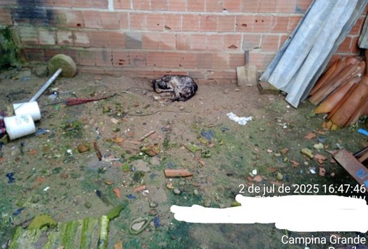 Whats App Image 2025 07 02 at 21 20 31