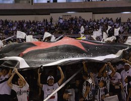 TORCIDA DO BOTAFOGO-PB