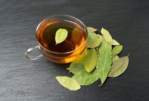 Chá de louro (Imagem: Plateresca | Shutterstock)