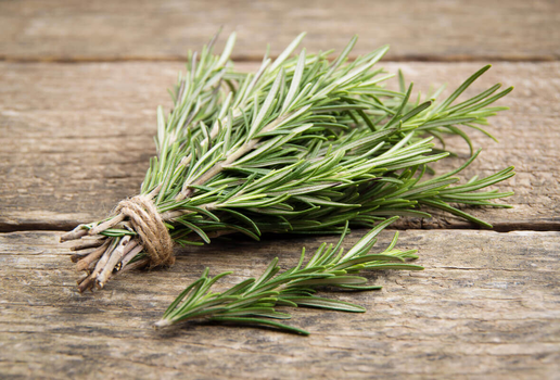 O alecrim consegue transmutar a energia do ambiente (Imagem: Nataliia K | Shutterstock)