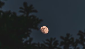 Closeup foto de foco seletivo da lua com arvores