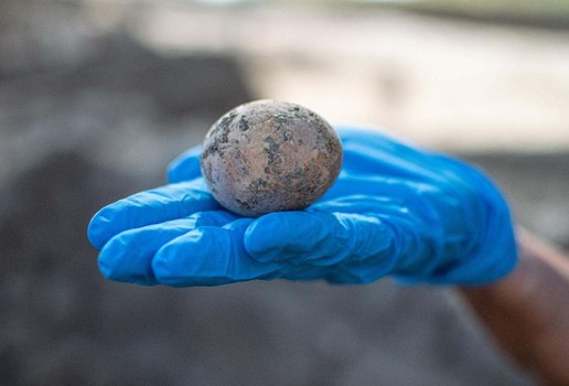 Pesquisadores descobrem ovo de 1 000 anos em Israel e o quebram sem querer