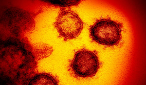 Imagem coronavirus