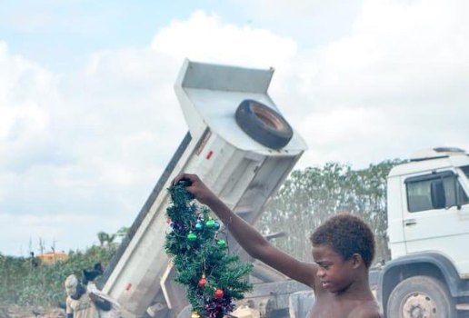 Garoto é fotografado com árvore de Natal no lixo e foto viraliza