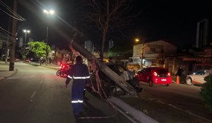 Carro subiu no canteiro central da avenida