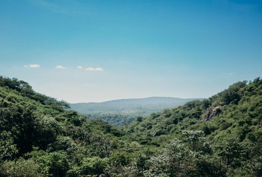 Desmatamento paraiba