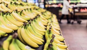 Preço da banana tem variação de mais de 350% em João Pessoa