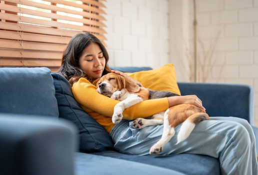 Há nomes perfeitos para cachorros tranquilos (Imagem: Hananeko_Studio | Shutterstock)