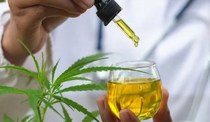 Cannabis medicinal