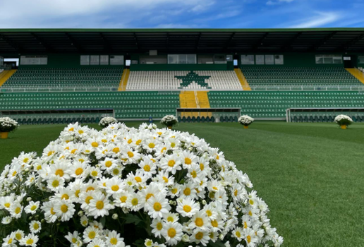 Arena Condá, estádio da Chape, amanheceu com flores no gramado