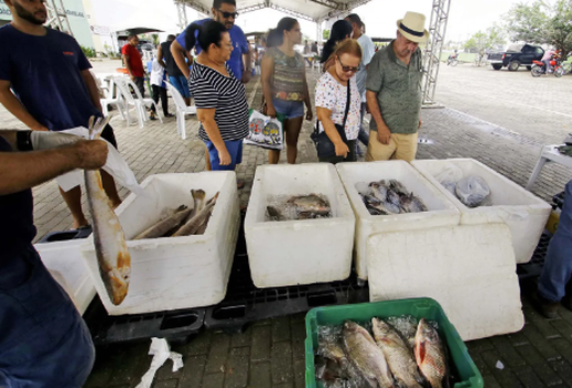 Screenshot 20250412 155709