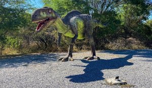 Vale dos dinossauros