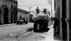 Caminhao descarregando feixes de agave em Joao Pessoa PB 1957