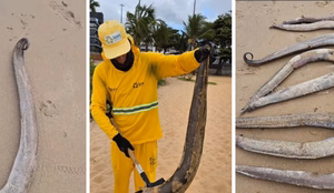 Imagens moreias em joao pessoa