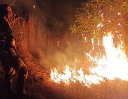 Incêndio no Parque Estadual da Paraíba completa 8 dias de combate