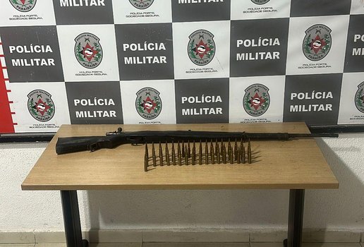 Fuzil apreensao gramame