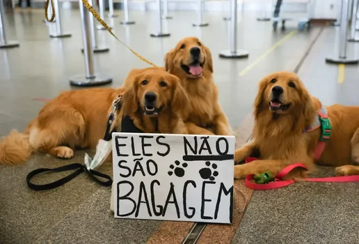 Protesto cachorro joca brasilia