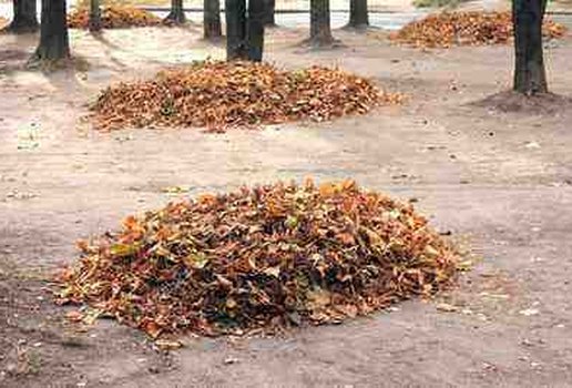 Depositphotos 87086434 stock photo heap of dry leaves in