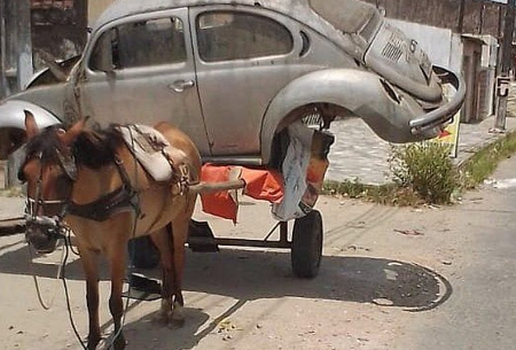 Crueldade: animal é visto carregando fusca em carroça