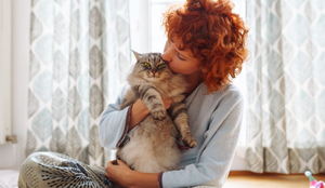 Cuidados com os gatos vão além de oferecer comida e abrigo (Imagem: larisa Stefanjuk | Shutterstock)
